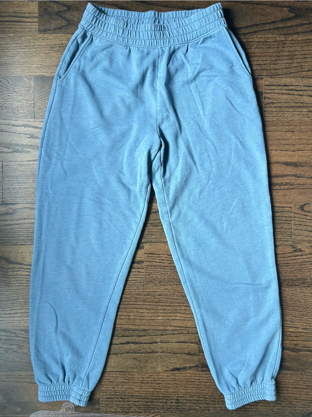 American Eagle Outfitters Light Blue Fleece Sweatpants